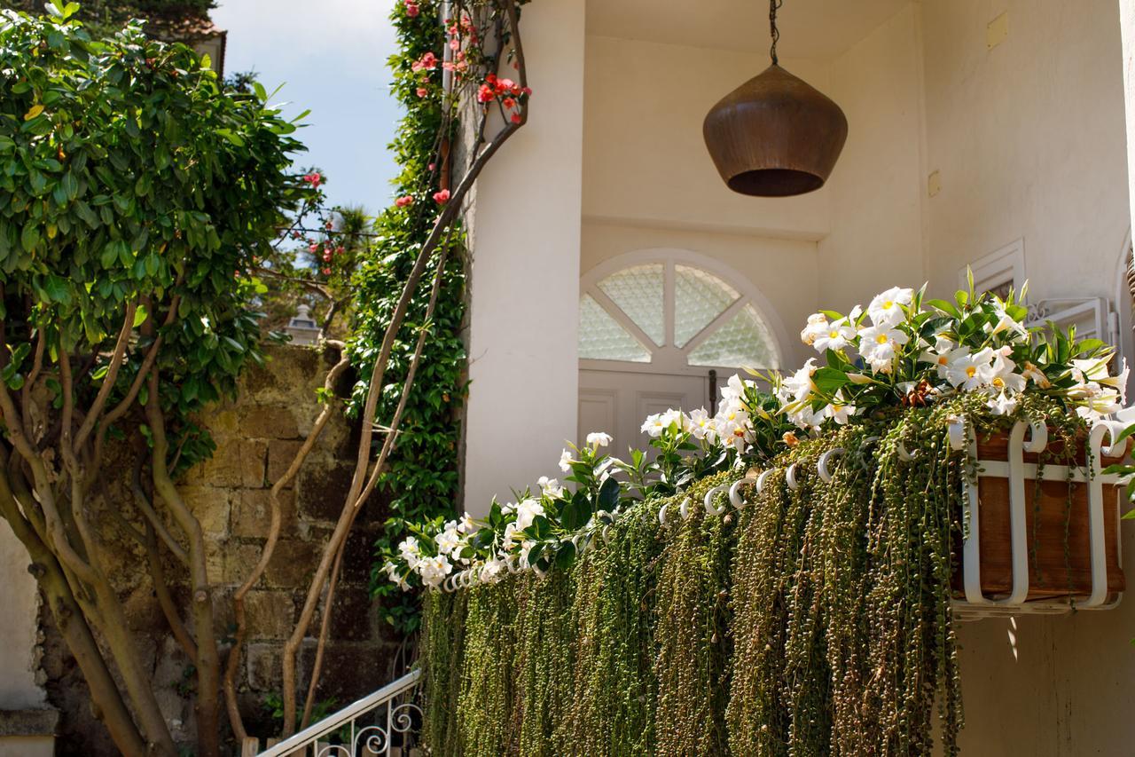Reggine Holiday Apartments Sant'Agnello Exterior photo