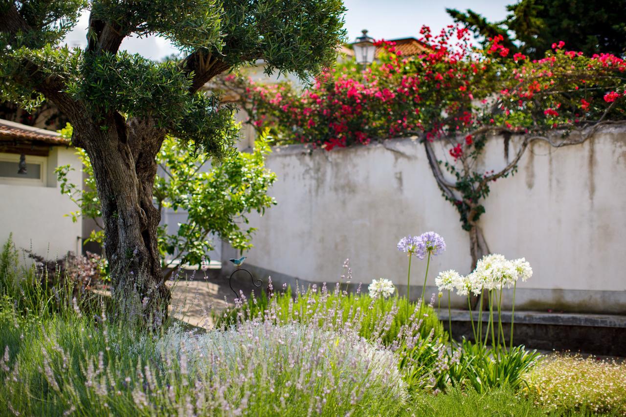 Reggine Holiday Apartments Sant'Agnello Exterior photo