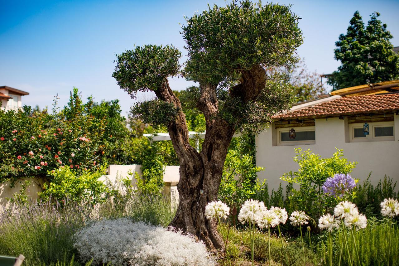 Reggine Holiday Apartments Sant'Agnello Exterior photo